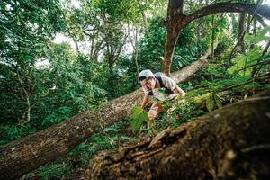 BIB: 
                            <button type="button" onclick="openModal(22778649)" class="btn btn-primary btn-sm float-right btn-popup" data-toggle="modal" data-target=".modal-high-quality">
                        <i class="fas fa-shopping-cart"></i> Add to Cart
                    </button>
                                            <button type="button" onclick="isThisMe(22778649, true)" class="btn btn-success btn-sm float-right btn-popup btn-isme hidden" data-toggle="tooltip" data-placement="bottom" title="นี่คือรูปของคุณใช่ไหม คลิกที่นี่เพื่อเอาเข้าอัลบั้ม">
                        <i class="fas fa-plus"></i> Add to album
                    </button>
                    <button type="button" onclick="isThisMe(22778649, false)" class="btn btn-warning btn-sm float-right btn-popup btn-isnotme hidden">
                        <i class="fas fa-ban"></i> Remove from album
                    </button>