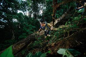 BIB: 
                            <button type="button" onclick="openModal(22775631)" class="btn btn-primary btn-sm float-right btn-popup" data-toggle="modal" data-target=".modal-high-quality">
                        <i class="fas fa-shopping-cart"></i> Add to Cart
                    </button>
                                            <button type="button" onclick="isThisMe(22775631, true)" class="btn btn-success btn-sm float-right btn-popup btn-isme hidden" data-toggle="tooltip" data-placement="bottom" title="นี่คือรูปของคุณใช่ไหม คลิกที่นี่เพื่อเอาเข้าอัลบั้ม">
                        <i class="fas fa-plus"></i> Add to album
                    </button>
                    <button type="button" onclick="isThisMe(22775631, false)" class="btn btn-warning btn-sm float-right btn-popup btn-isnotme hidden">
                        <i class="fas fa-ban"></i> Remove from album
                    </button>