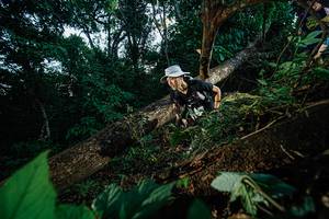 BIB: 
                            <button type="button" onclick="openModal(22775463)" class="btn btn-primary btn-sm float-right btn-popup" data-toggle="modal" data-target=".modal-high-quality">
                        <i class="fas fa-shopping-cart"></i> Add to Cart
                    </button>
                                            <button type="button" onclick="isThisMe(22775463, true)" class="btn btn-success btn-sm float-right btn-popup btn-isme hidden" data-toggle="tooltip" data-placement="bottom" title="นี่คือรูปของคุณใช่ไหม คลิกที่นี่เพื่อเอาเข้าอัลบั้ม">
                        <i class="fas fa-plus"></i> Add to album
                    </button>
                    <button type="button" onclick="isThisMe(22775463, false)" class="btn btn-warning btn-sm float-right btn-popup btn-isnotme hidden">
                        <i class="fas fa-ban"></i> Remove from album
                    </button>