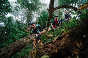 BIB: 
                            <button type="button" onclick="openModal(22778858)" class="btn btn-primary btn-sm float-right btn-popup" data-toggle="modal" data-target=".modal-high-quality">
                        <i class="fas fa-shopping-cart"></i> Add to Cart
                    </button>
                                            <button type="button" onclick="isThisMe(22778858, true)" class="btn btn-success btn-sm float-right btn-popup btn-isme hidden" data-toggle="tooltip" data-placement="bottom" title="นี่คือรูปของคุณใช่ไหม คลิกที่นี่เพื่อเอาเข้าอัลบั้ม">
                        <i class="fas fa-plus"></i> Add to album
                    </button>
                    <button type="button" onclick="isThisMe(22778858, false)" class="btn btn-warning btn-sm float-right btn-popup btn-isnotme hidden">
                        <i class="fas fa-ban"></i> Remove from album
                    </button>