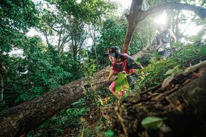 BIB: 
                            <button type="button" onclick="openModal(22777748)" class="btn btn-primary btn-sm float-right btn-popup" data-toggle="modal" data-target=".modal-high-quality">
                        <i class="fas fa-shopping-cart"></i> Add to Cart
                    </button>
                                            <button type="button" onclick="isThisMe(22777748, true)" class="btn btn-success btn-sm float-right btn-popup btn-isme hidden" data-toggle="tooltip" data-placement="bottom" title="นี่คือรูปของคุณใช่ไหม คลิกที่นี่เพื่อเอาเข้าอัลบั้ม">
                        <i class="fas fa-plus"></i> Add to album
                    </button>
                    <button type="button" onclick="isThisMe(22777748, false)" class="btn btn-warning btn-sm float-right btn-popup btn-isnotme hidden">
                        <i class="fas fa-ban"></i> Remove from album
                    </button>