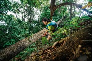 BIB: 
                            <button type="button" onclick="openModal(22778329)" class="btn btn-primary btn-sm float-right btn-popup" data-toggle="modal" data-target=".modal-high-quality">
                        <i class="fas fa-shopping-cart"></i> Add to Cart
                    </button>
                                            <button type="button" onclick="isThisMe(22778329, true)" class="btn btn-success btn-sm float-right btn-popup btn-isme hidden" data-toggle="tooltip" data-placement="bottom" title="นี่คือรูปของคุณใช่ไหม คลิกที่นี่เพื่อเอาเข้าอัลบั้ม">
                        <i class="fas fa-plus"></i> Add to album
                    </button>
                    <button type="button" onclick="isThisMe(22778329, false)" class="btn btn-warning btn-sm float-right btn-popup btn-isnotme hidden">
                        <i class="fas fa-ban"></i> Remove from album
                    </button>