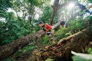 BIB: 
                            <button type="button" onclick="openModal(22777969)" class="btn btn-primary btn-sm float-right btn-popup" data-toggle="modal" data-target=".modal-high-quality">
                        <i class="fas fa-shopping-cart"></i> Add to Cart
                    </button>
                                            <button type="button" onclick="isThisMe(22777969, true)" class="btn btn-success btn-sm float-right btn-popup btn-isme hidden" data-toggle="tooltip" data-placement="bottom" title="นี่คือรูปของคุณใช่ไหม คลิกที่นี่เพื่อเอาเข้าอัลบั้ม">
                        <i class="fas fa-plus"></i> Add to album
                    </button>
                    <button type="button" onclick="isThisMe(22777969, false)" class="btn btn-warning btn-sm float-right btn-popup btn-isnotme hidden">
                        <i class="fas fa-ban"></i> Remove from album
                    </button>