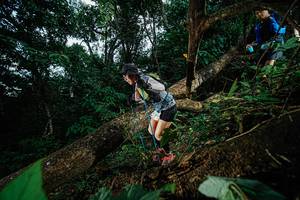 BIB: 
                            <button type="button" onclick="openModal(22775695)" class="btn btn-primary btn-sm float-right btn-popup" data-toggle="modal" data-target=".modal-high-quality">
                        <i class="fas fa-shopping-cart"></i> Add to Cart
                    </button>
                                            <button type="button" onclick="isThisMe(22775695, true)" class="btn btn-success btn-sm float-right btn-popup btn-isme hidden" data-toggle="tooltip" data-placement="bottom" title="นี่คือรูปของคุณใช่ไหม คลิกที่นี่เพื่อเอาเข้าอัลบั้ม">
                        <i class="fas fa-plus"></i> Add to album
                    </button>
                    <button type="button" onclick="isThisMe(22775695, false)" class="btn btn-warning btn-sm float-right btn-popup btn-isnotme hidden">
                        <i class="fas fa-ban"></i> Remove from album
                    </button>