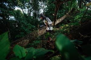 BIB: 
                            <button type="button" onclick="openModal(22777337)" class="btn btn-primary btn-sm float-right btn-popup" data-toggle="modal" data-target=".modal-high-quality">
                        <i class="fas fa-shopping-cart"></i> Add to Cart
                    </button>
                                            <button type="button" onclick="isThisMe(22777337, true)" class="btn btn-success btn-sm float-right btn-popup btn-isme hidden" data-toggle="tooltip" data-placement="bottom" title="นี่คือรูปของคุณใช่ไหม คลิกที่นี่เพื่อเอาเข้าอัลบั้ม">
                        <i class="fas fa-plus"></i> Add to album
                    </button>
                    <button type="button" onclick="isThisMe(22777337, false)" class="btn btn-warning btn-sm float-right btn-popup btn-isnotme hidden">
                        <i class="fas fa-ban"></i> Remove from album
                    </button>