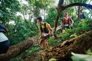 BIB: 
                            <button type="button" onclick="openModal(22777943)" class="btn btn-primary btn-sm float-right btn-popup" data-toggle="modal" data-target=".modal-high-quality">
                        <i class="fas fa-shopping-cart"></i> Add to Cart
                    </button>
                                            <button type="button" onclick="isThisMe(22777943, true)" class="btn btn-success btn-sm float-right btn-popup btn-isme hidden" data-toggle="tooltip" data-placement="bottom" title="นี่คือรูปของคุณใช่ไหม คลิกที่นี่เพื่อเอาเข้าอัลบั้ม">
                        <i class="fas fa-plus"></i> Add to album
                    </button>
                    <button type="button" onclick="isThisMe(22777943, false)" class="btn btn-warning btn-sm float-right btn-popup btn-isnotme hidden">
                        <i class="fas fa-ban"></i> Remove from album
                    </button>