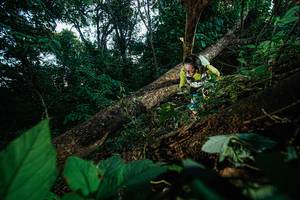 BIB: 
                            <button type="button" onclick="openModal(22776959)" class="btn btn-primary btn-sm float-right btn-popup" data-toggle="modal" data-target=".modal-high-quality">
                        <i class="fas fa-shopping-cart"></i> Add to Cart
                    </button>
                                            <button type="button" onclick="isThisMe(22776959, true)" class="btn btn-success btn-sm float-right btn-popup btn-isme hidden" data-toggle="tooltip" data-placement="bottom" title="นี่คือรูปของคุณใช่ไหม คลิกที่นี่เพื่อเอาเข้าอัลบั้ม">
                        <i class="fas fa-plus"></i> Add to album
                    </button>
                    <button type="button" onclick="isThisMe(22776959, false)" class="btn btn-warning btn-sm float-right btn-popup btn-isnotme hidden">
                        <i class="fas fa-ban"></i> Remove from album
                    </button>