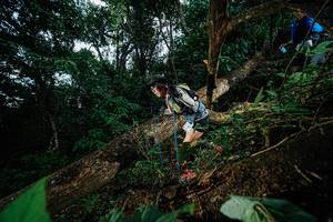 BIB: 
                            <button type="button" onclick="openModal(22775694)" class="btn btn-primary btn-sm float-right btn-popup" data-toggle="modal" data-target=".modal-high-quality">
                        <i class="fas fa-shopping-cart"></i> Add to Cart
                    </button>
                                            <button type="button" onclick="isThisMe(22775694, true)" class="btn btn-success btn-sm float-right btn-popup btn-isme hidden" data-toggle="tooltip" data-placement="bottom" title="นี่คือรูปของคุณใช่ไหม คลิกที่นี่เพื่อเอาเข้าอัลบั้ม">
                        <i class="fas fa-plus"></i> Add to album
                    </button>
                    <button type="button" onclick="isThisMe(22775694, false)" class="btn btn-warning btn-sm float-right btn-popup btn-isnotme hidden">
                        <i class="fas fa-ban"></i> Remove from album
                    </button>