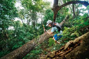 BIB: 
                            <button type="button" onclick="openModal(22777991)" class="btn btn-primary btn-sm float-right btn-popup" data-toggle="modal" data-target=".modal-high-quality">
                        <i class="fas fa-shopping-cart"></i> Add to Cart
                    </button>
                                            <button type="button" onclick="isThisMe(22777991, true)" class="btn btn-success btn-sm float-right btn-popup btn-isme hidden" data-toggle="tooltip" data-placement="bottom" title="นี่คือรูปของคุณใช่ไหม คลิกที่นี่เพื่อเอาเข้าอัลบั้ม">
                        <i class="fas fa-plus"></i> Add to album
                    </button>
                    <button type="button" onclick="isThisMe(22777991, false)" class="btn btn-warning btn-sm float-right btn-popup btn-isnotme hidden">
                        <i class="fas fa-ban"></i> Remove from album
                    </button>