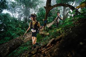 BIB: 6489
                            <button type="button" onclick="openModal(22778707)" class="btn btn-primary btn-sm float-right btn-popup" data-toggle="modal" data-target=".modal-high-quality">
                        <i class="fas fa-shopping-cart"></i> Add to Cart
                    </button>
                                            <button type="button" onclick="isThisMe(22778707, true)" class="btn btn-success btn-sm float-right btn-popup btn-isme hidden" data-toggle="tooltip" data-placement="bottom" title="นี่คือรูปของคุณใช่ไหม คลิกที่นี่เพื่อเอาเข้าอัลบั้ม">
                        <i class="fas fa-plus"></i> Add to album
                    </button>
                    <button type="button" onclick="isThisMe(22778707, false)" class="btn btn-warning btn-sm float-right btn-popup btn-isnotme hidden">
                        <i class="fas fa-ban"></i> Remove from album
                    </button>