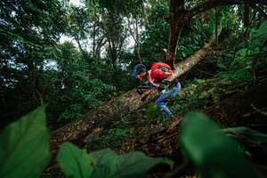 BIB: 
                            <button type="button" onclick="openModal(22777287)" class="btn btn-primary btn-sm float-right btn-popup" data-toggle="modal" data-target=".modal-high-quality">
                        <i class="fas fa-shopping-cart"></i> Add to Cart
                    </button>
                                            <button type="button" onclick="isThisMe(22777287, true)" class="btn btn-success btn-sm float-right btn-popup btn-isme hidden" data-toggle="tooltip" data-placement="bottom" title="นี่คือรูปของคุณใช่ไหม คลิกที่นี่เพื่อเอาเข้าอัลบั้ม">
                        <i class="fas fa-plus"></i> Add to album
                    </button>
                    <button type="button" onclick="isThisMe(22777287, false)" class="btn btn-warning btn-sm float-right btn-popup btn-isnotme hidden">
                        <i class="fas fa-ban"></i> Remove from album
                    </button>