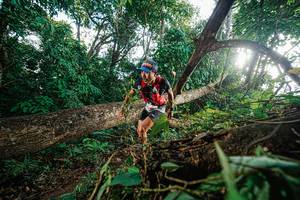 BIB: 
                            <button type="button" onclick="openModal(22777575)" class="btn btn-primary btn-sm float-right btn-popup" data-toggle="modal" data-target=".modal-high-quality">
                        <i class="fas fa-shopping-cart"></i> Add to Cart
                    </button>
                                            <button type="button" onclick="isThisMe(22777575, true)" class="btn btn-success btn-sm float-right btn-popup btn-isme hidden" data-toggle="tooltip" data-placement="bottom" title="นี่คือรูปของคุณใช่ไหม คลิกที่นี่เพื่อเอาเข้าอัลบั้ม">
                        <i class="fas fa-plus"></i> Add to album
                    </button>
                    <button type="button" onclick="isThisMe(22777575, false)" class="btn btn-warning btn-sm float-right btn-popup btn-isnotme hidden">
                        <i class="fas fa-ban"></i> Remove from album
                    </button>