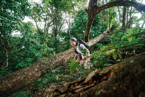 BIB: 
                            <button type="button" onclick="openModal(22778516)" class="btn btn-primary btn-sm float-right btn-popup" data-toggle="modal" data-target=".modal-high-quality">
                        <i class="fas fa-shopping-cart"></i> Add to Cart
                    </button>
                                            <button type="button" onclick="isThisMe(22778516, true)" class="btn btn-success btn-sm float-right btn-popup btn-isme hidden" data-toggle="tooltip" data-placement="bottom" title="นี่คือรูปของคุณใช่ไหม คลิกที่นี่เพื่อเอาเข้าอัลบั้ม">
                        <i class="fas fa-plus"></i> Add to album
                    </button>
                    <button type="button" onclick="isThisMe(22778516, false)" class="btn btn-warning btn-sm float-right btn-popup btn-isnotme hidden">
                        <i class="fas fa-ban"></i> Remove from album
                    </button>