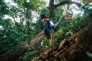 BIB: 
                            <button type="button" onclick="openModal(22778162)" class="btn btn-primary btn-sm float-right btn-popup" data-toggle="modal" data-target=".modal-high-quality">
                        <i class="fas fa-shopping-cart"></i> Add to Cart
                    </button>
                                            <button type="button" onclick="isThisMe(22778162, true)" class="btn btn-success btn-sm float-right btn-popup btn-isme hidden" data-toggle="tooltip" data-placement="bottom" title="นี่คือรูปของคุณใช่ไหม คลิกที่นี่เพื่อเอาเข้าอัลบั้ม">
                        <i class="fas fa-plus"></i> Add to album
                    </button>
                    <button type="button" onclick="isThisMe(22778162, false)" class="btn btn-warning btn-sm float-right btn-popup btn-isnotme hidden">
                        <i class="fas fa-ban"></i> Remove from album
                    </button>