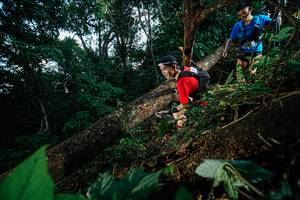 BIB: 
                            <button type="button" onclick="openModal(22775565)" class="btn btn-primary btn-sm float-right btn-popup" data-toggle="modal" data-target=".modal-high-quality">
                        <i class="fas fa-shopping-cart"></i> Add to Cart
                    </button>
                                            <button type="button" onclick="isThisMe(22775565, true)" class="btn btn-success btn-sm float-right btn-popup btn-isme hidden" data-toggle="tooltip" data-placement="bottom" title="นี่คือรูปของคุณใช่ไหม คลิกที่นี่เพื่อเอาเข้าอัลบั้ม">
                        <i class="fas fa-plus"></i> Add to album
                    </button>
                    <button type="button" onclick="isThisMe(22775565, false)" class="btn btn-warning btn-sm float-right btn-popup btn-isnotme hidden">
                        <i class="fas fa-ban"></i> Remove from album
                    </button>