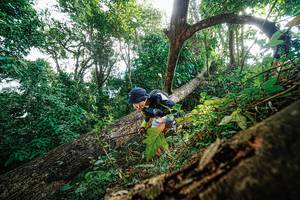 BIB: 
                            <button type="button" onclick="openModal(22778149)" class="btn btn-primary btn-sm float-right btn-popup" data-toggle="modal" data-target=".modal-high-quality">
                        <i class="fas fa-shopping-cart"></i> Add to Cart
                    </button>
                                            <button type="button" onclick="isThisMe(22778149, true)" class="btn btn-success btn-sm float-right btn-popup btn-isme hidden" data-toggle="tooltip" data-placement="bottom" title="นี่คือรูปของคุณใช่ไหม คลิกที่นี่เพื่อเอาเข้าอัลบั้ม">
                        <i class="fas fa-plus"></i> Add to album
                    </button>
                    <button type="button" onclick="isThisMe(22778149, false)" class="btn btn-warning btn-sm float-right btn-popup btn-isnotme hidden">
                        <i class="fas fa-ban"></i> Remove from album
                    </button>