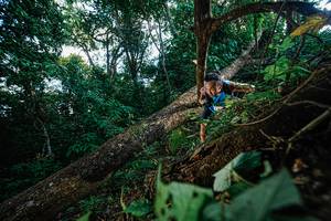 BIB: 
                            <button type="button" onclick="openModal(22777457)" class="btn btn-primary btn-sm float-right btn-popup" data-toggle="modal" data-target=".modal-high-quality">
                        <i class="fas fa-shopping-cart"></i> Add to Cart
                    </button>
                                            <button type="button" onclick="isThisMe(22777457, true)" class="btn btn-success btn-sm float-right btn-popup btn-isme hidden" data-toggle="tooltip" data-placement="bottom" title="นี่คือรูปของคุณใช่ไหม คลิกที่นี่เพื่อเอาเข้าอัลบั้ม">
                        <i class="fas fa-plus"></i> Add to album
                    </button>
                    <button type="button" onclick="isThisMe(22777457, false)" class="btn btn-warning btn-sm float-right btn-popup btn-isnotme hidden">
                        <i class="fas fa-ban"></i> Remove from album
                    </button>