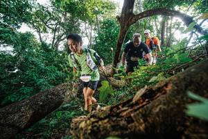 BIB: 5439, 3361
                            <button type="button" onclick="openModal(22778173)" class="btn btn-primary btn-sm float-right btn-popup" data-toggle="modal" data-target=".modal-high-quality">
                        <i class="fas fa-shopping-cart"></i> Add to Cart
                    </button>
                                            <button type="button" onclick="isThisMe(22778173, true)" class="btn btn-success btn-sm float-right btn-popup btn-isme hidden" data-toggle="tooltip" data-placement="bottom" title="นี่คือรูปของคุณใช่ไหม คลิกที่นี่เพื่อเอาเข้าอัลบั้ม">
                        <i class="fas fa-plus"></i> Add to album
                    </button>
                    <button type="button" onclick="isThisMe(22778173, false)" class="btn btn-warning btn-sm float-right btn-popup btn-isnotme hidden">
                        <i class="fas fa-ban"></i> Remove from album
                    </button>