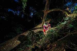 BIB: 
                            <button type="button" onclick="openModal(22774434)" class="btn btn-primary btn-sm float-right btn-popup" data-toggle="modal" data-target=".modal-high-quality">
                        <i class="fas fa-shopping-cart"></i> Add to Cart
                    </button>
                                            <button type="button" onclick="isThisMe(22774434, true)" class="btn btn-success btn-sm float-right btn-popup btn-isme hidden" data-toggle="tooltip" data-placement="bottom" title="นี่คือรูปของคุณใช่ไหม คลิกที่นี่เพื่อเอาเข้าอัลบั้ม">
                        <i class="fas fa-plus"></i> Add to album
                    </button>
                    <button type="button" onclick="isThisMe(22774434, false)" class="btn btn-warning btn-sm float-right btn-popup btn-isnotme hidden">
                        <i class="fas fa-ban"></i> Remove from album
                    </button>