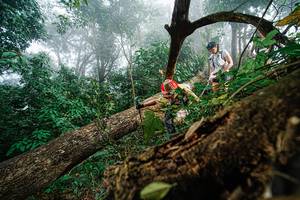 BIB: 
                            <button type="button" onclick="openModal(22778866)" class="btn btn-primary btn-sm float-right btn-popup" data-toggle="modal" data-target=".modal-high-quality">
                        <i class="fas fa-shopping-cart"></i> Add to Cart
                    </button>
                                            <button type="button" onclick="isThisMe(22778866, true)" class="btn btn-success btn-sm float-right btn-popup btn-isme hidden" data-toggle="tooltip" data-placement="bottom" title="นี่คือรูปของคุณใช่ไหม คลิกที่นี่เพื่อเอาเข้าอัลบั้ม">
                        <i class="fas fa-plus"></i> Add to album
                    </button>
                    <button type="button" onclick="isThisMe(22778866, false)" class="btn btn-warning btn-sm float-right btn-popup btn-isnotme hidden">
                        <i class="fas fa-ban"></i> Remove from album
                    </button>