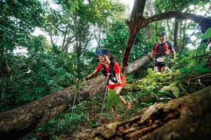 BIB: 
                            <button type="button" onclick="openModal(22778051)" class="btn btn-primary btn-sm float-right btn-popup" data-toggle="modal" data-target=".modal-high-quality">
                        <i class="fas fa-shopping-cart"></i> Add to Cart
                    </button>
                                            <button type="button" onclick="isThisMe(22778051, true)" class="btn btn-success btn-sm float-right btn-popup btn-isme hidden" data-toggle="tooltip" data-placement="bottom" title="นี่คือรูปของคุณใช่ไหม คลิกที่นี่เพื่อเอาเข้าอัลบั้ม">
                        <i class="fas fa-plus"></i> Add to album
                    </button>
                    <button type="button" onclick="isThisMe(22778051, false)" class="btn btn-warning btn-sm float-right btn-popup btn-isnotme hidden">
                        <i class="fas fa-ban"></i> Remove from album
                    </button>