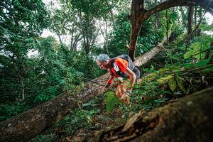 BIB: 
                            <button type="button" onclick="openModal(22778546)" class="btn btn-primary btn-sm float-right btn-popup" data-toggle="modal" data-target=".modal-high-quality">
                        <i class="fas fa-shopping-cart"></i> Add to Cart
                    </button>
                                            <button type="button" onclick="isThisMe(22778546, true)" class="btn btn-success btn-sm float-right btn-popup btn-isme hidden" data-toggle="tooltip" data-placement="bottom" title="นี่คือรูปของคุณใช่ไหม คลิกที่นี่เพื่อเอาเข้าอัลบั้ม">
                        <i class="fas fa-plus"></i> Add to album
                    </button>
                    <button type="button" onclick="isThisMe(22778546, false)" class="btn btn-warning btn-sm float-right btn-popup btn-isnotme hidden">
                        <i class="fas fa-ban"></i> Remove from album
                    </button>