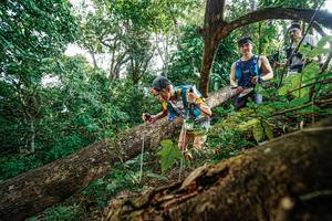 BIB: 100
                            <button type="button" onclick="openModal(22778595)" class="btn btn-primary btn-sm float-right btn-popup" data-toggle="modal" data-target=".modal-high-quality">
                        <i class="fas fa-shopping-cart"></i> Add to Cart
                    </button>
                                            <button type="button" onclick="isThisMe(22778595, true)" class="btn btn-success btn-sm float-right btn-popup btn-isme hidden" data-toggle="tooltip" data-placement="bottom" title="นี่คือรูปของคุณใช่ไหม คลิกที่นี่เพื่อเอาเข้าอัลบั้ม">
                        <i class="fas fa-plus"></i> Add to album
                    </button>
                    <button type="button" onclick="isThisMe(22778595, false)" class="btn btn-warning btn-sm float-right btn-popup btn-isnotme hidden">
                        <i class="fas fa-ban"></i> Remove from album
                    </button>