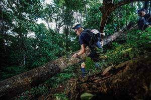 BIB: 
                            <button type="button" onclick="openModal(22778353)" class="btn btn-primary btn-sm float-right btn-popup" data-toggle="modal" data-target=".modal-high-quality">
                        <i class="fas fa-shopping-cart"></i> Add to Cart
                    </button>
                                            <button type="button" onclick="isThisMe(22778353, true)" class="btn btn-success btn-sm float-right btn-popup btn-isme hidden" data-toggle="tooltip" data-placement="bottom" title="นี่คือรูปของคุณใช่ไหม คลิกที่นี่เพื่อเอาเข้าอัลบั้ม">
                        <i class="fas fa-plus"></i> Add to album
                    </button>
                    <button type="button" onclick="isThisMe(22778353, false)" class="btn btn-warning btn-sm float-right btn-popup btn-isnotme hidden">
                        <i class="fas fa-ban"></i> Remove from album
                    </button>