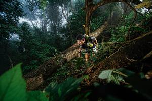 BIB: 
                            <button type="button" onclick="openModal(22776750)" class="btn btn-primary btn-sm float-right btn-popup" data-toggle="modal" data-target=".modal-high-quality">
                        <i class="fas fa-shopping-cart"></i> Add to Cart
                    </button>
                                            <button type="button" onclick="isThisMe(22776750, true)" class="btn btn-success btn-sm float-right btn-popup btn-isme hidden" data-toggle="tooltip" data-placement="bottom" title="นี่คือรูปของคุณใช่ไหม คลิกที่นี่เพื่อเอาเข้าอัลบั้ม">
                        <i class="fas fa-plus"></i> Add to album
                    </button>
                    <button type="button" onclick="isThisMe(22776750, false)" class="btn btn-warning btn-sm float-right btn-popup btn-isnotme hidden">
                        <i class="fas fa-ban"></i> Remove from album
                    </button>