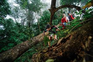 BIB: 
                            <button type="button" onclick="openModal(22778845)" class="btn btn-primary btn-sm float-right btn-popup" data-toggle="modal" data-target=".modal-high-quality">
                        <i class="fas fa-shopping-cart"></i> Add to Cart
                    </button>
                                            <button type="button" onclick="isThisMe(22778845, true)" class="btn btn-success btn-sm float-right btn-popup btn-isme hidden" data-toggle="tooltip" data-placement="bottom" title="นี่คือรูปของคุณใช่ไหม คลิกที่นี่เพื่อเอาเข้าอัลบั้ม">
                        <i class="fas fa-plus"></i> Add to album
                    </button>
                    <button type="button" onclick="isThisMe(22778845, false)" class="btn btn-warning btn-sm float-right btn-popup btn-isnotme hidden">
                        <i class="fas fa-ban"></i> Remove from album
                    </button>