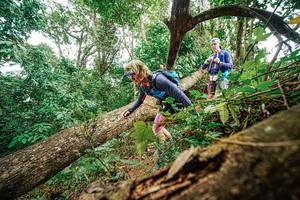 BIB: 
                            <button type="button" onclick="openModal(22779207)" class="btn btn-primary btn-sm float-right btn-popup" data-toggle="modal" data-target=".modal-high-quality">
                        <i class="fas fa-shopping-cart"></i> Add to Cart
                    </button>
                                            <button type="button" onclick="isThisMe(22779207, true)" class="btn btn-success btn-sm float-right btn-popup btn-isme hidden" data-toggle="tooltip" data-placement="bottom" title="นี่คือรูปของคุณใช่ไหม คลิกที่นี่เพื่อเอาเข้าอัลบั้ม">
                        <i class="fas fa-plus"></i> Add to album
                    </button>
                    <button type="button" onclick="isThisMe(22779207, false)" class="btn btn-warning btn-sm float-right btn-popup btn-isnotme hidden">
                        <i class="fas fa-ban"></i> Remove from album
                    </button>