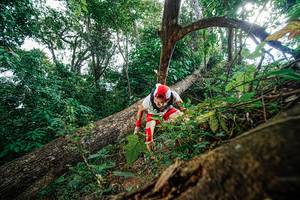 BIB: 
                            <button type="button" onclick="openModal(22778314)" class="btn btn-primary btn-sm float-right btn-popup" data-toggle="modal" data-target=".modal-high-quality">
                        <i class="fas fa-shopping-cart"></i> Add to Cart
                    </button>
                                            <button type="button" onclick="isThisMe(22778314, true)" class="btn btn-success btn-sm float-right btn-popup btn-isme hidden" data-toggle="tooltip" data-placement="bottom" title="นี่คือรูปของคุณใช่ไหม คลิกที่นี่เพื่อเอาเข้าอัลบั้ม">
                        <i class="fas fa-plus"></i> Add to album
                    </button>
                    <button type="button" onclick="isThisMe(22778314, false)" class="btn btn-warning btn-sm float-right btn-popup btn-isnotme hidden">
                        <i class="fas fa-ban"></i> Remove from album
                    </button>