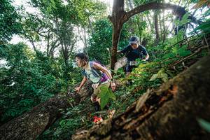 BIB: 148
                            <button type="button" onclick="openModal(22778159)" class="btn btn-primary btn-sm float-right btn-popup" data-toggle="modal" data-target=".modal-high-quality">
                        <i class="fas fa-shopping-cart"></i> Add to Cart
                    </button>
                                            <button type="button" onclick="isThisMe(22778159, true)" class="btn btn-success btn-sm float-right btn-popup btn-isme hidden" data-toggle="tooltip" data-placement="bottom" title="นี่คือรูปของคุณใช่ไหม คลิกที่นี่เพื่อเอาเข้าอัลบั้ม">
                        <i class="fas fa-plus"></i> Add to album
                    </button>
                    <button type="button" onclick="isThisMe(22778159, false)" class="btn btn-warning btn-sm float-right btn-popup btn-isnotme hidden">
                        <i class="fas fa-ban"></i> Remove from album
                    </button>