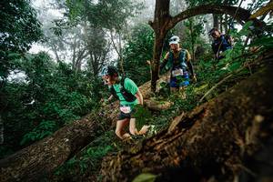 BIB: 14641, 2105
                            <button type="button" onclick="openModal(22779115)" class="btn btn-primary btn-sm float-right btn-popup" data-toggle="modal" data-target=".modal-high-quality">
                        <i class="fas fa-shopping-cart"></i> Add to Cart
                    </button>
                                            <button type="button" onclick="isThisMe(22779115, true)" class="btn btn-success btn-sm float-right btn-popup btn-isme hidden" data-toggle="tooltip" data-placement="bottom" title="นี่คือรูปของคุณใช่ไหม คลิกที่นี่เพื่อเอาเข้าอัลบั้ม">
                        <i class="fas fa-plus"></i> Add to album
                    </button>
                    <button type="button" onclick="isThisMe(22779115, false)" class="btn btn-warning btn-sm float-right btn-popup btn-isnotme hidden">
                        <i class="fas fa-ban"></i> Remove from album
                    </button>