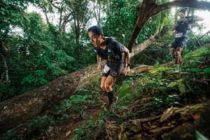 BIB: 
                            <button type="button" onclick="openModal(22777617)" class="btn btn-primary btn-sm float-right btn-popup" data-toggle="modal" data-target=".modal-high-quality">
                        <i class="fas fa-shopping-cart"></i> Add to Cart
                    </button>
                                            <button type="button" onclick="isThisMe(22777617, true)" class="btn btn-success btn-sm float-right btn-popup btn-isme hidden" data-toggle="tooltip" data-placement="bottom" title="นี่คือรูปของคุณใช่ไหม คลิกที่นี่เพื่อเอาเข้าอัลบั้ม">
                        <i class="fas fa-plus"></i> Add to album
                    </button>
                    <button type="button" onclick="isThisMe(22777617, false)" class="btn btn-warning btn-sm float-right btn-popup btn-isnotme hidden">
                        <i class="fas fa-ban"></i> Remove from album
                    </button>