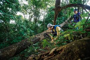 BIB: 
                            <button type="button" onclick="openModal(22778562)" class="btn btn-primary btn-sm float-right btn-popup" data-toggle="modal" data-target=".modal-high-quality">
                        <i class="fas fa-shopping-cart"></i> Add to Cart
                    </button>
                                            <button type="button" onclick="isThisMe(22778562, true)" class="btn btn-success btn-sm float-right btn-popup btn-isme hidden" data-toggle="tooltip" data-placement="bottom" title="นี่คือรูปของคุณใช่ไหม คลิกที่นี่เพื่อเอาเข้าอัลบั้ม">
                        <i class="fas fa-plus"></i> Add to album
                    </button>
                    <button type="button" onclick="isThisMe(22778562, false)" class="btn btn-warning btn-sm float-right btn-popup btn-isnotme hidden">
                        <i class="fas fa-ban"></i> Remove from album
                    </button>