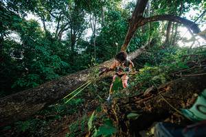 BIB: 
                            <button type="button" onclick="openModal(22777469)" class="btn btn-primary btn-sm float-right btn-popup" data-toggle="modal" data-target=".modal-high-quality">
                        <i class="fas fa-shopping-cart"></i> Add to Cart
                    </button>
                                            <button type="button" onclick="isThisMe(22777469, true)" class="btn btn-success btn-sm float-right btn-popup btn-isme hidden" data-toggle="tooltip" data-placement="bottom" title="นี่คือรูปของคุณใช่ไหม คลิกที่นี่เพื่อเอาเข้าอัลบั้ม">
                        <i class="fas fa-plus"></i> Add to album
                    </button>
                    <button type="button" onclick="isThisMe(22777469, false)" class="btn btn-warning btn-sm float-right btn-popup btn-isnotme hidden">
                        <i class="fas fa-ban"></i> Remove from album
                    </button>