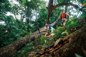 BIB: 
                            <button type="button" onclick="openModal(22778081)" class="btn btn-primary btn-sm float-right btn-popup" data-toggle="modal" data-target=".modal-high-quality">
                        <i class="fas fa-shopping-cart"></i> Add to Cart
                    </button>
                                            <button type="button" onclick="isThisMe(22778081, true)" class="btn btn-success btn-sm float-right btn-popup btn-isme hidden" data-toggle="tooltip" data-placement="bottom" title="นี่คือรูปของคุณใช่ไหม คลิกที่นี่เพื่อเอาเข้าอัลบั้ม">
                        <i class="fas fa-plus"></i> Add to album
                    </button>
                    <button type="button" onclick="isThisMe(22778081, false)" class="btn btn-warning btn-sm float-right btn-popup btn-isnotme hidden">
                        <i class="fas fa-ban"></i> Remove from album
                    </button>