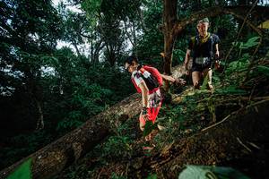 BIB: 
                            <button type="button" onclick="openModal(22775673)" class="btn btn-primary btn-sm float-right btn-popup" data-toggle="modal" data-target=".modal-high-quality">
                        <i class="fas fa-shopping-cart"></i> Add to Cart
                    </button>
                                            <button type="button" onclick="isThisMe(22775673, true)" class="btn btn-success btn-sm float-right btn-popup btn-isme hidden" data-toggle="tooltip" data-placement="bottom" title="นี่คือรูปของคุณใช่ไหม คลิกที่นี่เพื่อเอาเข้าอัลบั้ม">
                        <i class="fas fa-plus"></i> Add to album
                    </button>
                    <button type="button" onclick="isThisMe(22775673, false)" class="btn btn-warning btn-sm float-right btn-popup btn-isnotme hidden">
                        <i class="fas fa-ban"></i> Remove from album
                    </button>