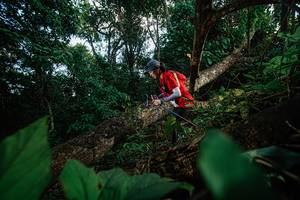 BIB: 
                            <button type="button" onclick="openModal(22777381)" class="btn btn-primary btn-sm float-right btn-popup" data-toggle="modal" data-target=".modal-high-quality">
                        <i class="fas fa-shopping-cart"></i> Add to Cart
                    </button>
                                            <button type="button" onclick="isThisMe(22777381, true)" class="btn btn-success btn-sm float-right btn-popup btn-isme hidden" data-toggle="tooltip" data-placement="bottom" title="นี่คือรูปของคุณใช่ไหม คลิกที่นี่เพื่อเอาเข้าอัลบั้ม">
                        <i class="fas fa-plus"></i> Add to album
                    </button>
                    <button type="button" onclick="isThisMe(22777381, false)" class="btn btn-warning btn-sm float-right btn-popup btn-isnotme hidden">
                        <i class="fas fa-ban"></i> Remove from album
                    </button>