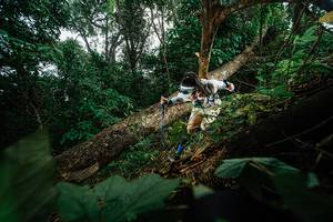 BIB: 
                            <button type="button" onclick="openModal(22776857)" class="btn btn-primary btn-sm float-right btn-popup" data-toggle="modal" data-target=".modal-high-quality">
                        <i class="fas fa-shopping-cart"></i> Add to Cart
                    </button>
                                            <button type="button" onclick="isThisMe(22776857, true)" class="btn btn-success btn-sm float-right btn-popup btn-isme hidden" data-toggle="tooltip" data-placement="bottom" title="นี่คือรูปของคุณใช่ไหม คลิกที่นี่เพื่อเอาเข้าอัลบั้ม">
                        <i class="fas fa-plus"></i> Add to album
                    </button>
                    <button type="button" onclick="isThisMe(22776857, false)" class="btn btn-warning btn-sm float-right btn-popup btn-isnotme hidden">
                        <i class="fas fa-ban"></i> Remove from album
                    </button>