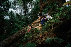 BIB: 
                            <button type="button" onclick="openModal(22775735)" class="btn btn-primary btn-sm float-right btn-popup" data-toggle="modal" data-target=".modal-high-quality">
                        <i class="fas fa-shopping-cart"></i> Add to Cart
                    </button>
                                            <button type="button" onclick="isThisMe(22775735, true)" class="btn btn-success btn-sm float-right btn-popup btn-isme hidden" data-toggle="tooltip" data-placement="bottom" title="นี่คือรูปของคุณใช่ไหม คลิกที่นี่เพื่อเอาเข้าอัลบั้ม">
                        <i class="fas fa-plus"></i> Add to album
                    </button>
                    <button type="button" onclick="isThisMe(22775735, false)" class="btn btn-warning btn-sm float-right btn-popup btn-isnotme hidden">
                        <i class="fas fa-ban"></i> Remove from album
                    </button>