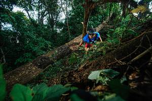 BIB: 
                            <button type="button" onclick="openModal(22777195)" class="btn btn-primary btn-sm float-right btn-popup" data-toggle="modal" data-target=".modal-high-quality">
                        <i class="fas fa-shopping-cart"></i> Add to Cart
                    </button>
                                            <button type="button" onclick="isThisMe(22777195, true)" class="btn btn-success btn-sm float-right btn-popup btn-isme hidden" data-toggle="tooltip" data-placement="bottom" title="นี่คือรูปของคุณใช่ไหม คลิกที่นี่เพื่อเอาเข้าอัลบั้ม">
                        <i class="fas fa-plus"></i> Add to album
                    </button>
                    <button type="button" onclick="isThisMe(22777195, false)" class="btn btn-warning btn-sm float-right btn-popup btn-isnotme hidden">
                        <i class="fas fa-ban"></i> Remove from album
                    </button>