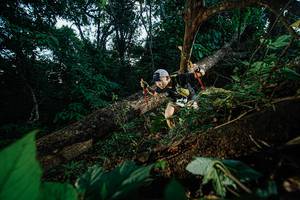 BIB: 
                            <button type="button" onclick="openModal(22775420)" class="btn btn-primary btn-sm float-right btn-popup" data-toggle="modal" data-target=".modal-high-quality">
                        <i class="fas fa-shopping-cart"></i> Add to Cart
                    </button>
                                            <button type="button" onclick="isThisMe(22775420, true)" class="btn btn-success btn-sm float-right btn-popup btn-isme hidden" data-toggle="tooltip" data-placement="bottom" title="นี่คือรูปของคุณใช่ไหม คลิกที่นี่เพื่อเอาเข้าอัลบั้ม">
                        <i class="fas fa-plus"></i> Add to album
                    </button>
                    <button type="button" onclick="isThisMe(22775420, false)" class="btn btn-warning btn-sm float-right btn-popup btn-isnotme hidden">
                        <i class="fas fa-ban"></i> Remove from album
                    </button>