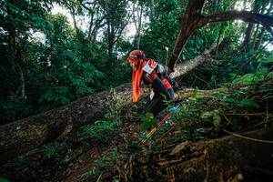 BIB: 
                            <button type="button" onclick="openModal(22777522)" class="btn btn-primary btn-sm float-right btn-popup" data-toggle="modal" data-target=".modal-high-quality">
                        <i class="fas fa-shopping-cart"></i> Add to Cart
                    </button>
                                            <button type="button" onclick="isThisMe(22777522, true)" class="btn btn-success btn-sm float-right btn-popup btn-isme hidden" data-toggle="tooltip" data-placement="bottom" title="นี่คือรูปของคุณใช่ไหม คลิกที่นี่เพื่อเอาเข้าอัลบั้ม">
                        <i class="fas fa-plus"></i> Add to album
                    </button>
                    <button type="button" onclick="isThisMe(22777522, false)" class="btn btn-warning btn-sm float-right btn-popup btn-isnotme hidden">
                        <i class="fas fa-ban"></i> Remove from album
                    </button>