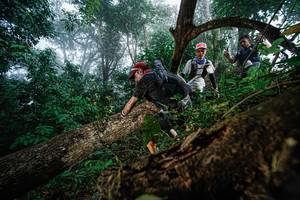 BIB: 
                            <button type="button" onclick="openModal(22778817)" class="btn btn-primary btn-sm float-right btn-popup" data-toggle="modal" data-target=".modal-high-quality">
                        <i class="fas fa-shopping-cart"></i> Add to Cart
                    </button>
                                            <button type="button" onclick="isThisMe(22778817, true)" class="btn btn-success btn-sm float-right btn-popup btn-isme hidden" data-toggle="tooltip" data-placement="bottom" title="นี่คือรูปของคุณใช่ไหม คลิกที่นี่เพื่อเอาเข้าอัลบั้ม">
                        <i class="fas fa-plus"></i> Add to album
                    </button>
                    <button type="button" onclick="isThisMe(22778817, false)" class="btn btn-warning btn-sm float-right btn-popup btn-isnotme hidden">
                        <i class="fas fa-ban"></i> Remove from album
                    </button>