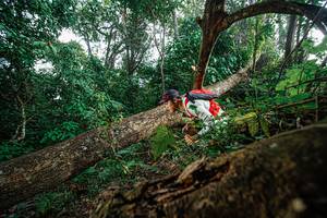 BIB: 
                            <button type="button" onclick="openModal(22778653)" class="btn btn-primary btn-sm float-right btn-popup" data-toggle="modal" data-target=".modal-high-quality">
                        <i class="fas fa-shopping-cart"></i> Add to Cart
                    </button>
                                            <button type="button" onclick="isThisMe(22778653, true)" class="btn btn-success btn-sm float-right btn-popup btn-isme hidden" data-toggle="tooltip" data-placement="bottom" title="นี่คือรูปของคุณใช่ไหม คลิกที่นี่เพื่อเอาเข้าอัลบั้ม">
                        <i class="fas fa-plus"></i> Add to album
                    </button>
                    <button type="button" onclick="isThisMe(22778653, false)" class="btn btn-warning btn-sm float-right btn-popup btn-isnotme hidden">
                        <i class="fas fa-ban"></i> Remove from album
                    </button>