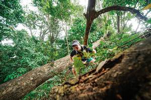 BIB: 
                            <button type="button" onclick="openModal(22779282)" class="btn btn-primary btn-sm float-right btn-popup" data-toggle="modal" data-target=".modal-high-quality">
                        <i class="fas fa-shopping-cart"></i> Add to Cart
                    </button>
                                            <button type="button" onclick="isThisMe(22779282, true)" class="btn btn-success btn-sm float-right btn-popup btn-isme hidden" data-toggle="tooltip" data-placement="bottom" title="นี่คือรูปของคุณใช่ไหม คลิกที่นี่เพื่อเอาเข้าอัลบั้ม">
                        <i class="fas fa-plus"></i> Add to album
                    </button>
                    <button type="button" onclick="isThisMe(22779282, false)" class="btn btn-warning btn-sm float-right btn-popup btn-isnotme hidden">
                        <i class="fas fa-ban"></i> Remove from album
                    </button>