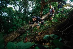 BIB: 
                            <button type="button" onclick="openModal(22777173)" class="btn btn-primary btn-sm float-right btn-popup" data-toggle="modal" data-target=".modal-high-quality">
                        <i class="fas fa-shopping-cart"></i> Add to Cart
                    </button>
                                            <button type="button" onclick="isThisMe(22777173, true)" class="btn btn-success btn-sm float-right btn-popup btn-isme hidden" data-toggle="tooltip" data-placement="bottom" title="นี่คือรูปของคุณใช่ไหม คลิกที่นี่เพื่อเอาเข้าอัลบั้ม">
                        <i class="fas fa-plus"></i> Add to album
                    </button>
                    <button type="button" onclick="isThisMe(22777173, false)" class="btn btn-warning btn-sm float-right btn-popup btn-isnotme hidden">
                        <i class="fas fa-ban"></i> Remove from album
                    </button>