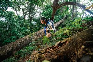 BIB: 
                            <button type="button" onclick="openModal(22778318)" class="btn btn-primary btn-sm float-right btn-popup" data-toggle="modal" data-target=".modal-high-quality">
                        <i class="fas fa-shopping-cart"></i> Add to Cart
                    </button>
                                            <button type="button" onclick="isThisMe(22778318, true)" class="btn btn-success btn-sm float-right btn-popup btn-isme hidden" data-toggle="tooltip" data-placement="bottom" title="นี่คือรูปของคุณใช่ไหม คลิกที่นี่เพื่อเอาเข้าอัลบั้ม">
                        <i class="fas fa-plus"></i> Add to album
                    </button>
                    <button type="button" onclick="isThisMe(22778318, false)" class="btn btn-warning btn-sm float-right btn-popup btn-isnotme hidden">
                        <i class="fas fa-ban"></i> Remove from album
                    </button>